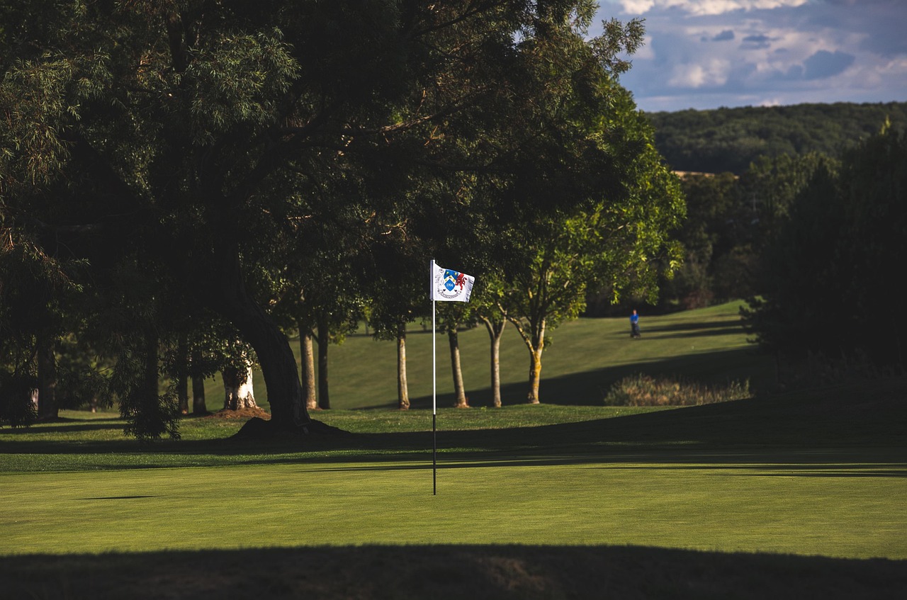 golf-flag-7465217_1280